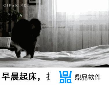 抖音里面说的果盘是什么意思(抖音里面的等级是什么意思)