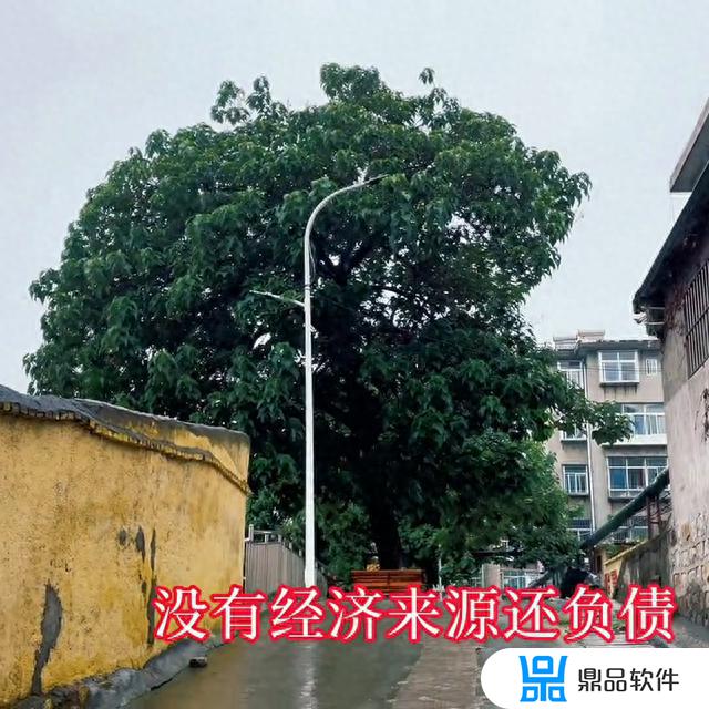 抖音100万粉丝月收入(当网红真的很赚钱吗)