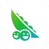 豌豆芽app
